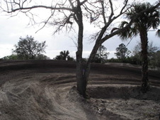 Enlarge photo 62
