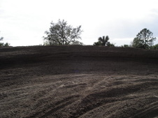 Enlarge photo 64