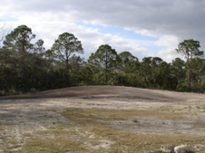 Enlarge photo 73