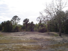 Enlarge photo 74