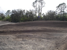 Enlarge photo 80