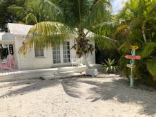 Enlarge photo 37