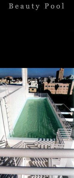 Enlarge photo 47