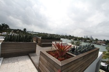 Enlarge photo 65
