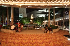 Enlarge photo 204
