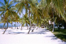 Enlarge photo 100
