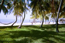 Enlarge photo 115