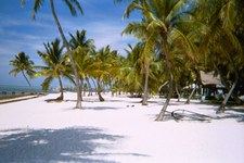Enlarge photo 113