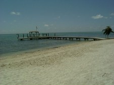 Enlarge photo 116