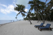 Enlarge photo 33