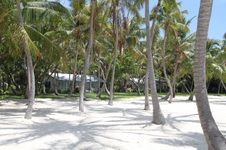 Enlarge photo 35