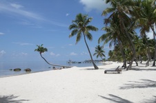 Enlarge photo 37