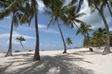 Enlarge photo 39