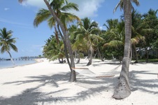 Enlarge photo 40