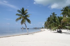 Enlarge photo 41