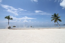 Enlarge photo 42