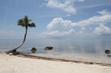 Enlarge photo 43