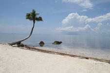 Enlarge photo 44