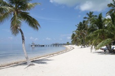 Enlarge photo 45