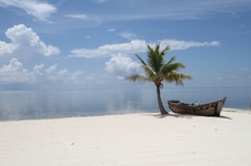 Enlarge photo 48