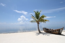 Enlarge photo 49