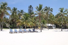 Enlarge photo 66