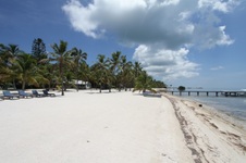 Enlarge photo 67