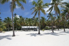 Enlarge photo 65