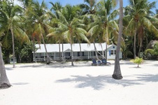 Enlarge photo 31