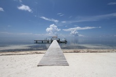 Enlarge photo 71