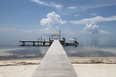 Enlarge photo 72