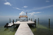 Enlarge photo 76