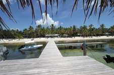 Enlarge photo 81