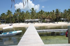 Enlarge photo 82