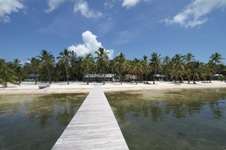 Enlarge photo 83