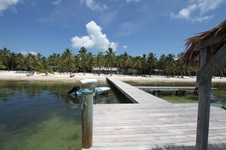 Enlarge photo 84