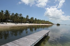Enlarge photo 85