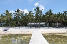 Enlarge photo 86