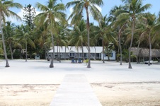 Enlarge photo 87