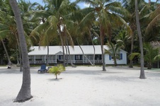 Enlarge photo 88