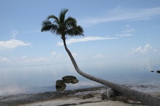 Enlarge photo 89