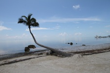 Enlarge photo 90