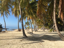 Enlarge photo 22