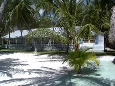 Enlarge photo 103