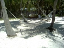 Enlarge photo 107