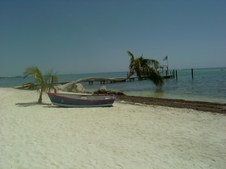 Enlarge photo 93