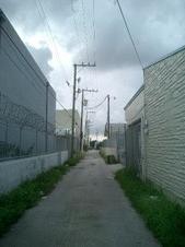 Enlarge photo 45