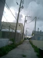 Enlarge photo 46