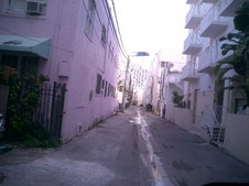 Enlarge photo 65