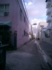 Enlarge photo 66